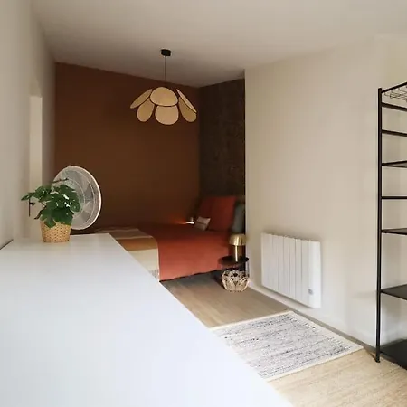 La Tour Medievale Centre Historique Apartment